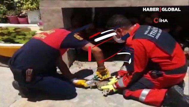 Kafası konserve kutusuna sıkışan kediyi itfaiye kurtardı