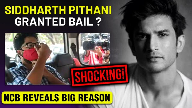 SSR Case | Sushant's Ex Flatemate Siddharth Pithani Granted BAIL ?, NCB Issues Statement