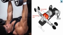 CHEST EXERCISES WITH DUMBBELLS/ BODYBUILDING MOTIVATION