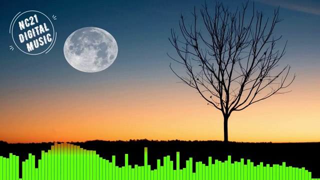 Melhores Musicas Eletronicas, As Melhores Músicas Eletrônicas Para Dançar - Audioscribe - Free Fall, Best Electronic Songs 2021, Most Played 2021, NEW ELECTRONIC MUSIC 2021 Meilleure musique électronique, musique électronique, les plus joués, téléchargeme
