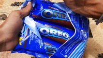Oreo family pack chocolate flavour biscuits
