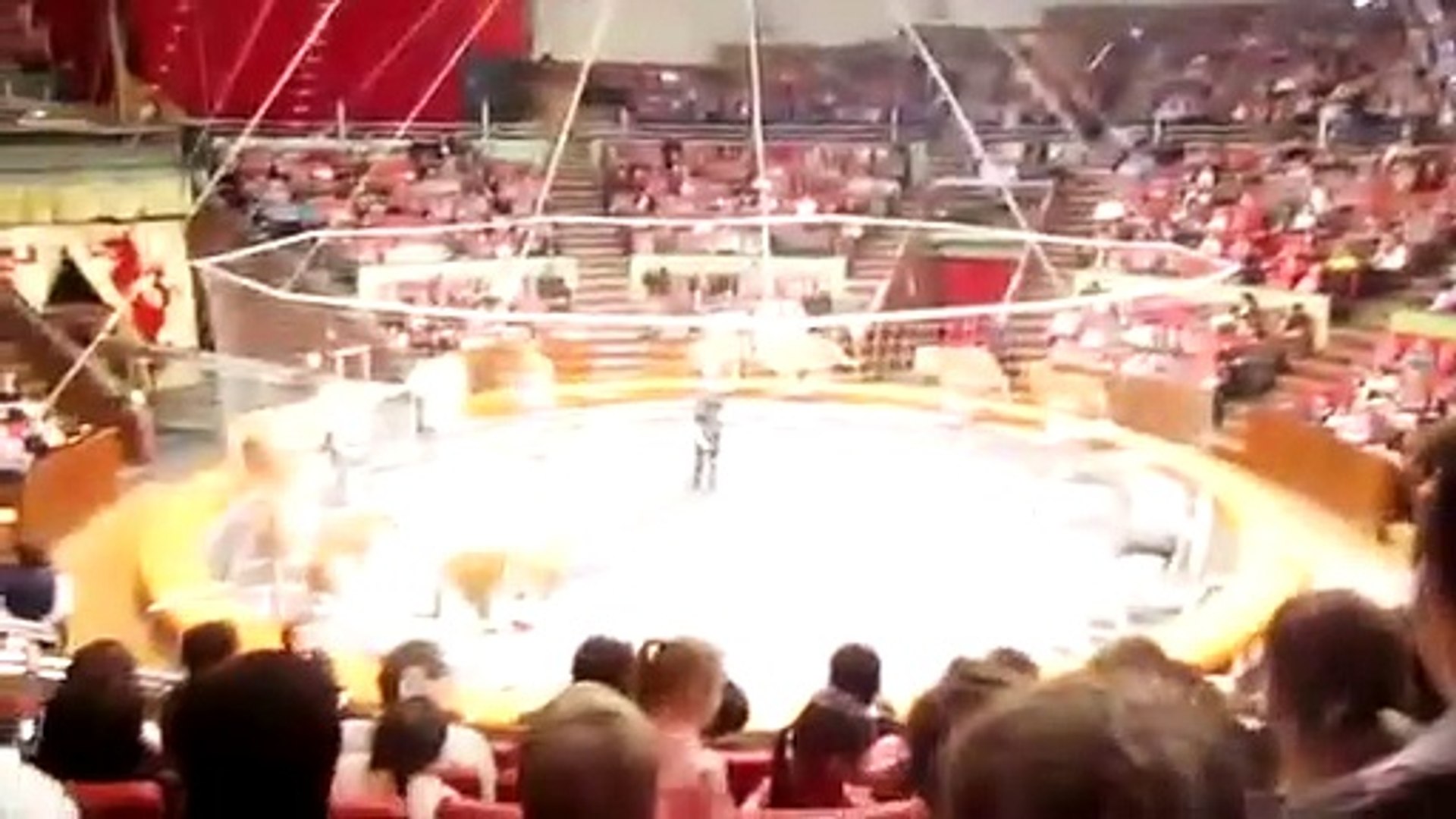 ⁣RUSSIAN CIRCUS
