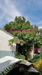 Buti Nalang Mahangin