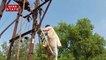 Madhya Pradesh : बिजली के खंभे पर चढ़ गए प्रद्युम्न सिंह तोमर, साफ-सफाई कर कर्मचारियों को सिखाया सबक