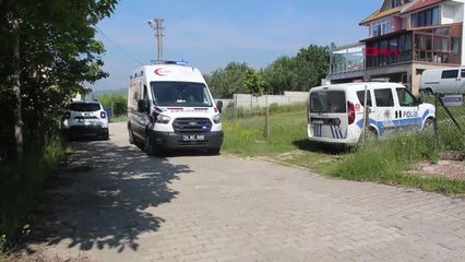BOLU KEDİSİNİ ÖLDÜREN KÖPEĞİN SAHİBİ KOMŞUSUNU TABANCAYLA VURDU