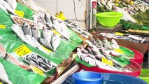 Müsilajın tehlikeli atık olmadığı açıklamasına rağmen balık satışlarındaki düşüş devam ediyor