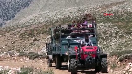 ANTALYA TOROSLAR, YÖRÜKLERLE ŞENLENMEYE BAŞLADI