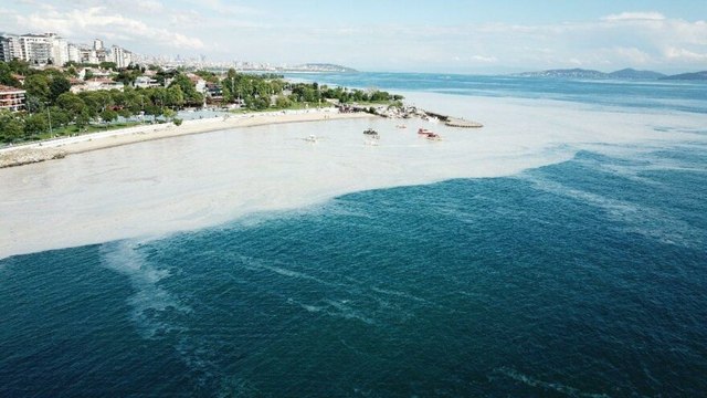 Marmara Denizi’nde 4 bin 202 metreküp müsilaj temizlendi
