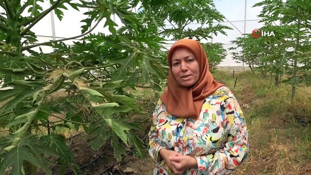 Manavgat Meslek Yüksekokulu kalifiye eleman eksiğini giderecek