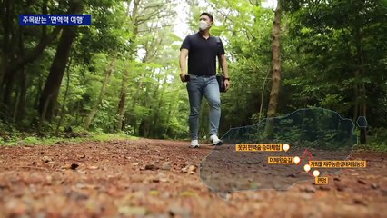 눈만 호강?…자연에서 건강도 챙기는 ‘면역력 여행’