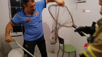 Havalandırma boşluğuna düşen kedi itfaiye ekipleri tarafından kurtarıldı