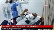 Samsun'da kenenin ısırdığı çiftçi hastanelik oldu