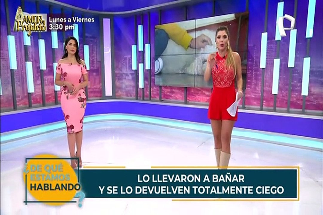 Llevan a su cachorro para un baño en la veterinaria y se lo devuelven totalmente ciego