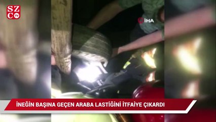 İneğin başına geçen araba lastiği itfaiye ekipleri tarafından çıkarıldı