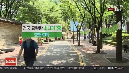 [날씨] 천둥·번개 동반 소나기…곳곳 우박