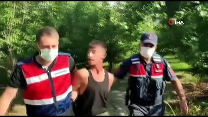 'Hızlı Gonzalez' lakaplı şüpheli kiraz ağacında saklanırken yakalandı