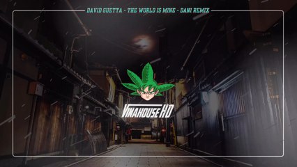 David Guetta - The World Is Mine - Dani Remix