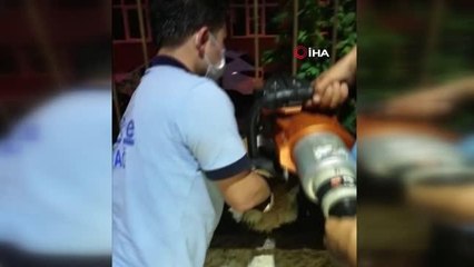 Demir korkuluklara sıkışan köpek kurtarıldı