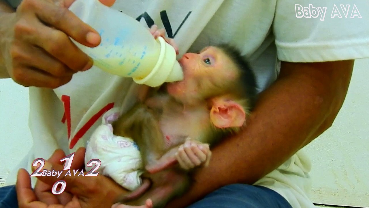 7=0438=AVA=Trillion Angry !! Sister AVA Jealous New Baby MIKE Almost Die Go Cry Alone So Pity AVAS