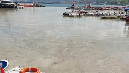 Kabus hızla yayılıyor: Sahilin tamamını kapladı