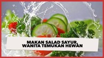Makan Salad Sayur Restoran, Wanita Mendadak Hilang Selera Pas Temukan Hewan Menggeliat
