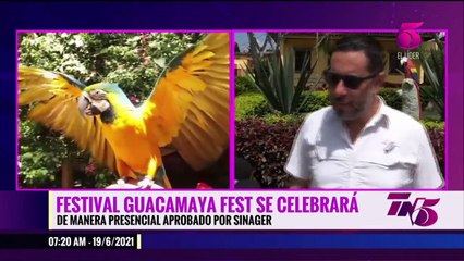 Tn5 Matutino 19 junio