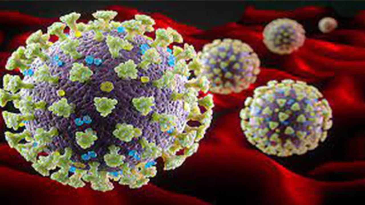 Viral Claim: Do laughter produces antibodies in the body?
