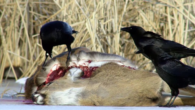 The Headwaters + 源头