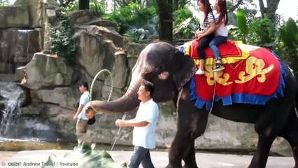 15 Most dangerous tourist destinations in the world