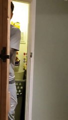 Leur chien leur ramène un petit cadeau : écureuil momifié dans la maison