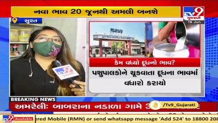 Surat_ Sumul dairy increases milk price by Rs. 2 per litre, household budget busted_ TV9News
