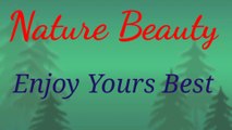 Natures Beauty