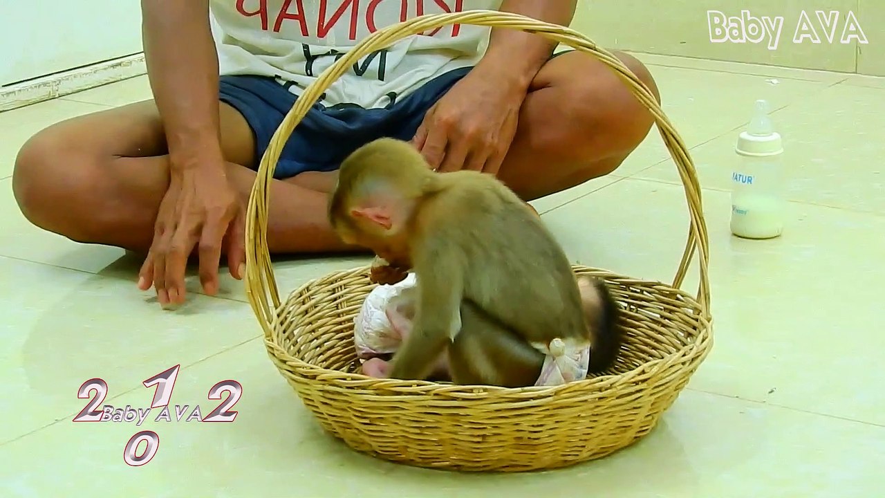 2=3477=Mike=Congratulation New Born Baby MIKE  Smallest Baby MIKE Weighs 300 g First Time For Family AVA