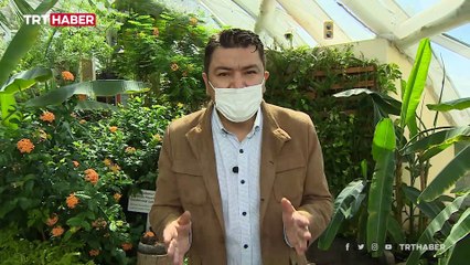 Avrupa'nın en büyük kelebek uçuş alanı: Konya Tropikal Kelebek Bahçesi