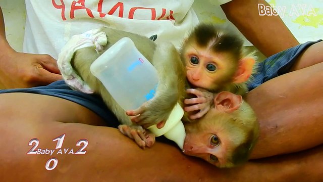 4=3512=MIKE=Million Pity New Born Baby MIKE Baby AVA Why Reject Smallest MIKE He Need Sister Take Care