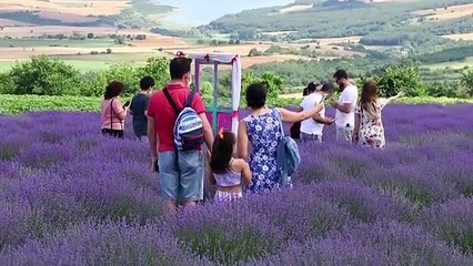 "Tekirdağ Lavanta Günleri" sona erdi