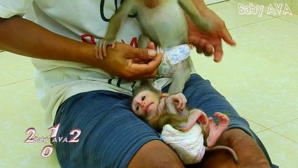 8=3508=AVABillion Hate Newly Baby MIKE !! Sitting On Daddy So Baby AVA Reject And Bite MIKE