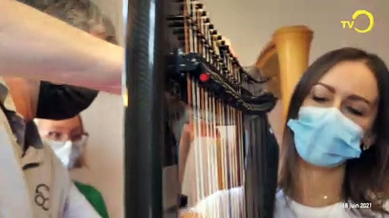 Sujet: fabrication d'une harpe électrique