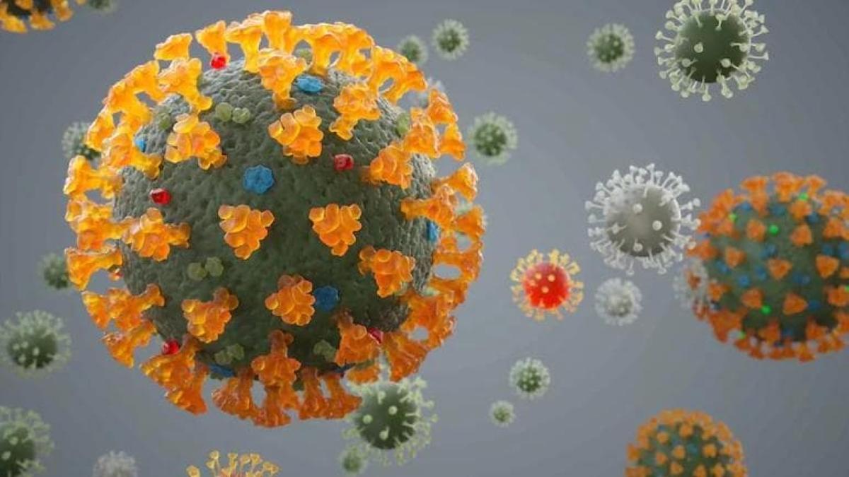 Vardaat: Is coronavirus a biological weapon of China?
