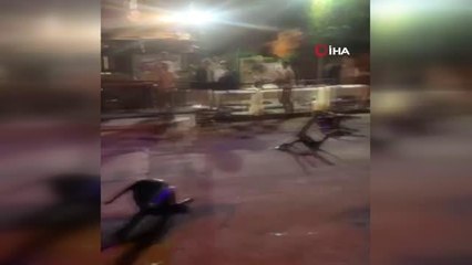 Yahudi yerleşimciler, Şeyh Cerrah'ta Filistinlilere saldırdı