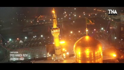 MOULA IMAM RAZA MANQABAT 2021 -- MOLA RAZA MOLA RAZA -- SYED HAMZA RIZVI -- TNA RECODS