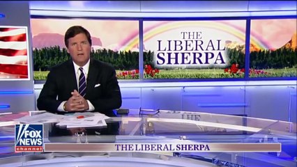 Don Lemon The Liberal Sherpa