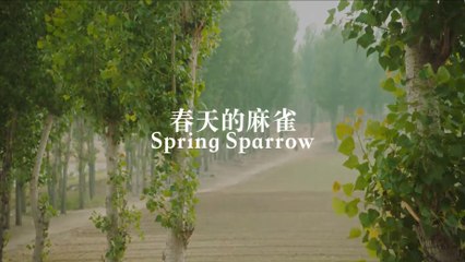 SPRING SPARROW (2019) Trailer VOST-ENG