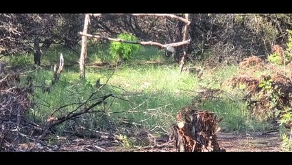 How I Spent Juneteenth Holiday