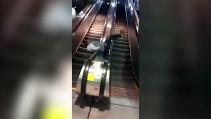 Never try this at home