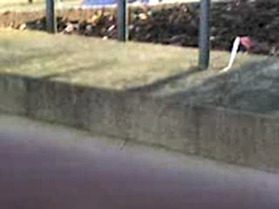 MOV00005
