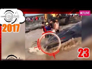 Camera Cận Cảnh 2017 - Tập 23: Những hành động yêu thương