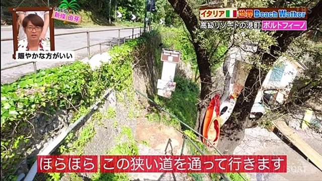 miomio 見れない - miomio つながらない - miomio 復活 ー - ７つの海を楽しもう 動画 9tsu 2021年06月19日