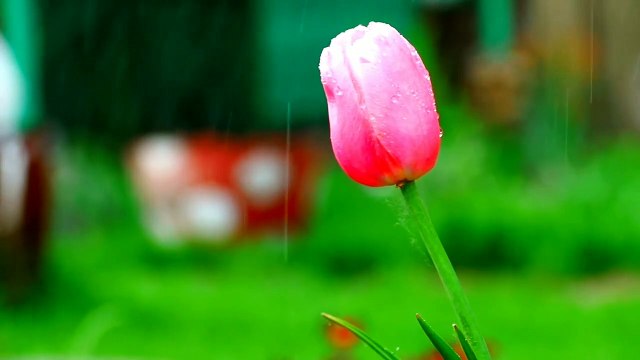 Beautiful Relaxing Music • Peaceful Piano Music & Guitar Music , Best Relaxing Music For Stress Relif | Relax Your Mind Music | Relaxing Music Piano | Soothing Music With Rain Sound