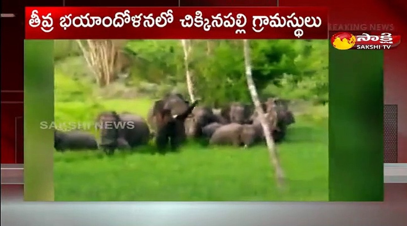 చిత్తూర్ జిల్లా లో ఏనుగుల బీభత్సం